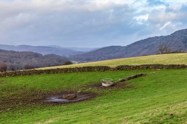 Göl manzaralı bir kış manzarası
