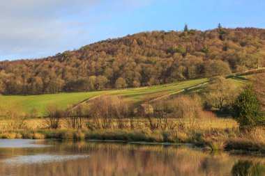 Cumbria 'daki ağaçlık bir tepeye bakan bir göl manzarası..