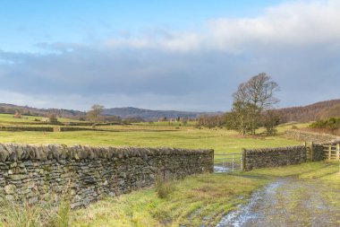 Cumbria 'da taş bir duvar ve tarım arazisi manzarası