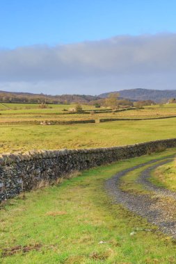 Cumbria 'daki taş bir duvar ve tarlaların dikey fotoğrafı