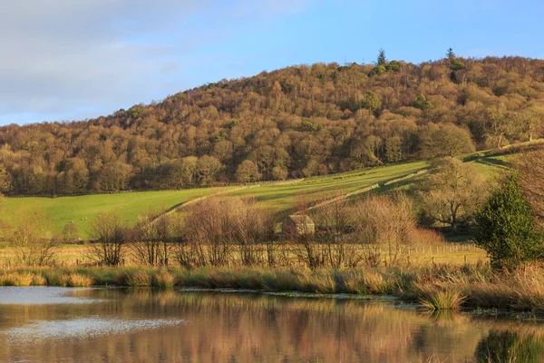 Uitzicht Een Meer Richting Een Beboste Heuvel Cumbria — Stockfoto