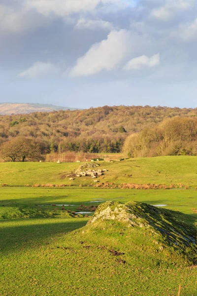 Utsikt Över Landsbygden Lake District Med Får Ett Fält Fjärran — Stockfoto