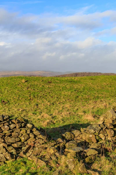Photograph Lake District Landscape Stone Wall Foreground — Stock Photo, Image