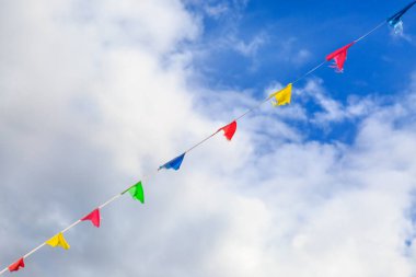 Gökyüzüne karşı Renkli Bunting