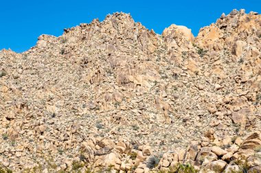 Joshua Tree Ulusal Parkı 'nda Dokulu Kaya Tepesi