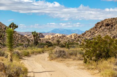 Joshua Tree Ulusal Parkı 'nda tozlu bir yol