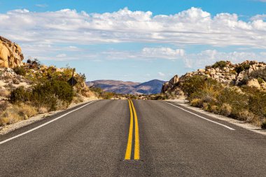Joshua Tree Ulusal Parkı 'nda kayalık bir arazide bir yol.