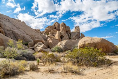 Joshua Tree Ulusal Parkı, Kaliforniya 'daki Kaya oluşumları