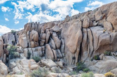 Joshua Tree Ulusal Parkı, Kaliforniya 'daki Kaya oluşumları