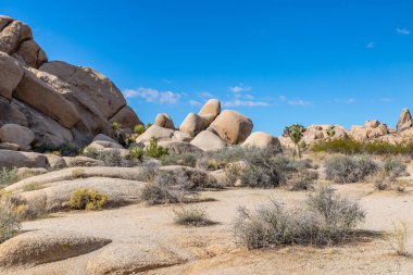 Joshua Tree Ulusal Parkı, Kaliforniya 'daki Kaya oluşumları