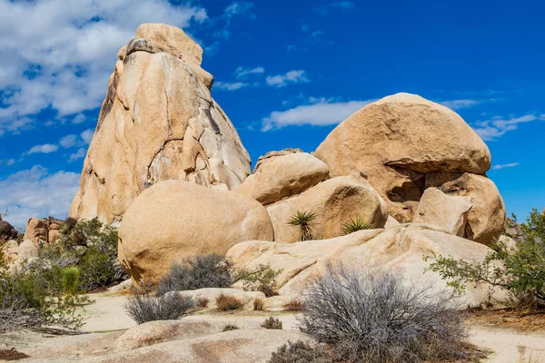 Formations Rocheuses Dans Parc National Joshua Tree Californie Avec Ciel — Photo