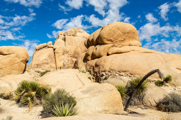 Rock Formációk Joshua Tree Nemzeti Park Kalifornia — Stock Fotó
