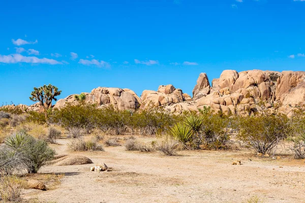 Kamienny Krajobraz Parku Narodowym Joshua Tree Kalifornia — Zdjęcie stockowe