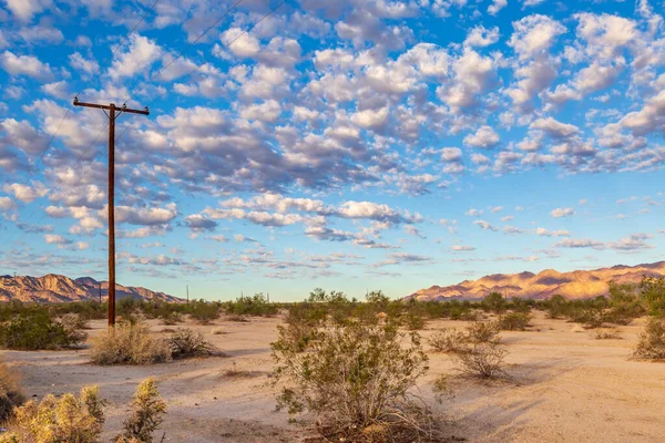 Tidig Morgon Kalifornisk Öken Landskap — Stockfoto