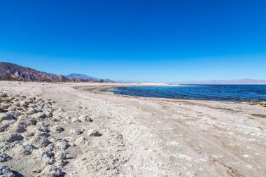 Kaliforniya 'daki Salton Sea Beach' ten bir manzara