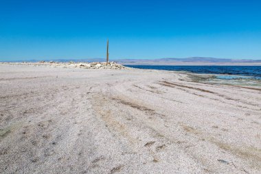 Kaliforniya 'daki Salton Sea Sahili' nden bakıyorum.