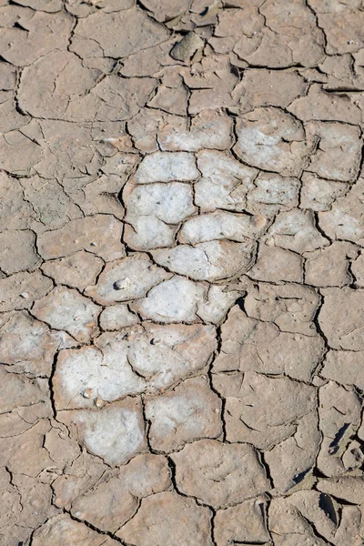 Dry Cracked Earth Arid Area California — Stock Photo, Image