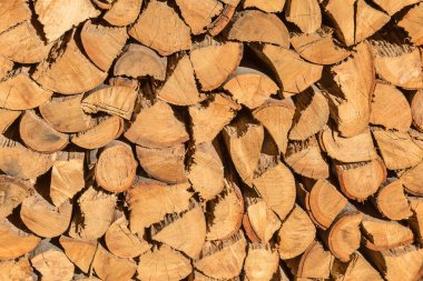Kütük dükkanında yığılmış odun yığını