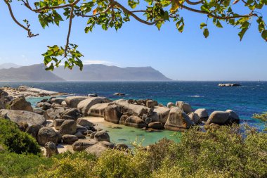 Güney Afrika 'daki Cape Yarımadası boyunca Boulders Sahili