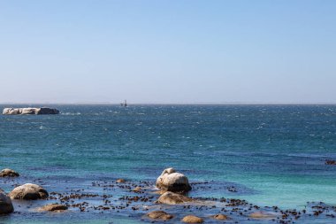 Güney Afrika 'daki Cape Yarımadası boyunca Simon' s Town 'dan denize bakın.