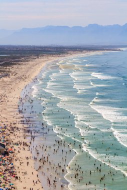 Güney Afrika 'daki Muizenberg Sahili' ndeki sörfçülere bakıyorum.