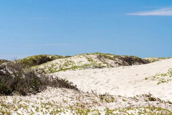 Dune Sulla Spiaggia Muizenberg — Foto Stock