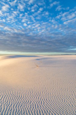 White Sands Ulusal Anıtı, New Mexico 'da sabah görüşü