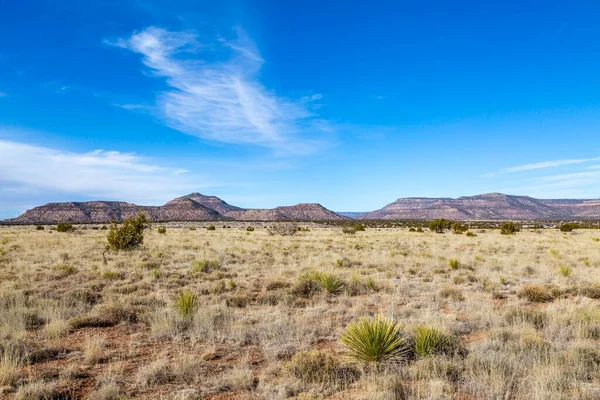 Vzdálená Krajina Nového Mexika Modrou Oblohou Nad Hlavou — Stock fotografie