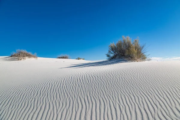 New Mexico 'daki White Sands Ulusal Anıtı' nda mavi gökyüzü ve beyaz alçıtaşı kumları karşı karşıya.