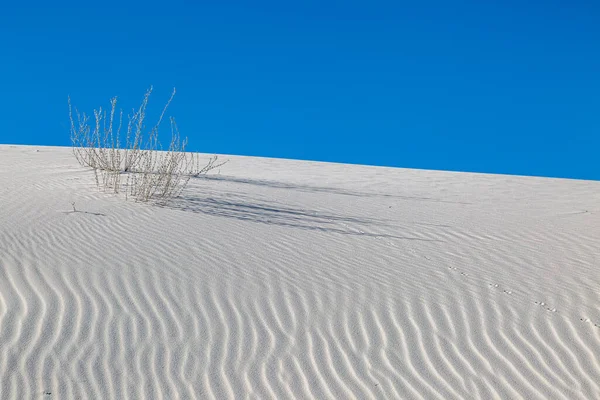 Vlnky Písečných Dunách White Sands National Monument Nové Mexiko Jasně — Stock fotografie