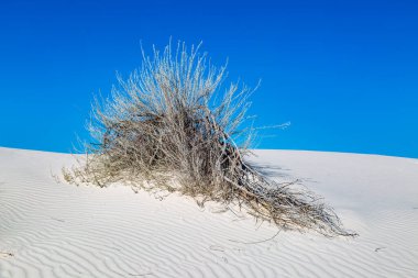 Beyaz Kumlar Çölünde bir manzara, New Mexico, üzerinde mavi bir gökyüzü