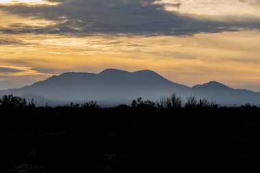 Arizona 'daki Sonoran Çölü' nün üzerinde gün doğumu