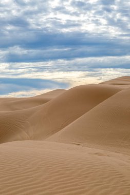 Kaliforniya 'daki geniş Algodones kum tepelerine bakıyorum.