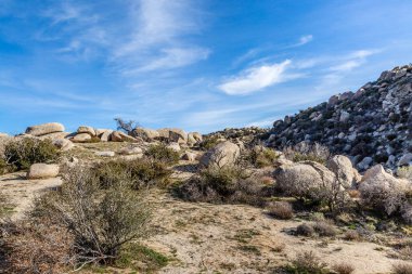 A rocky landscape in Anza Borrego Desert State Park, California clipart