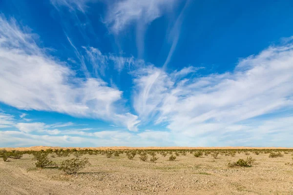 Uzakta İmparatorluk Kum Tepeleri ile bir çöl manzarasına bakıyorum.
