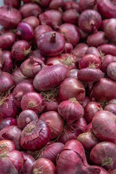 Celá Červená Cibule Prodej Farmářském Trhu — Stock fotografie