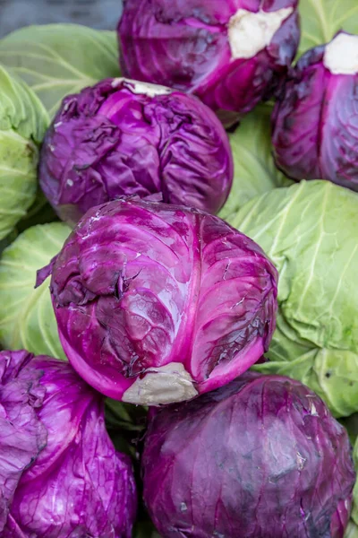 Selection Mixed Cabbages Sale Market Stall — Stock Photo, Image