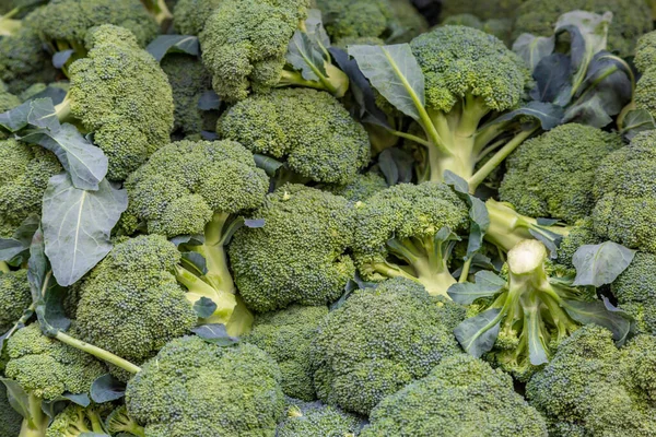 Una Pila Cabezas Brócoli Para Venta Mercado Agricultores — Foto de Stock