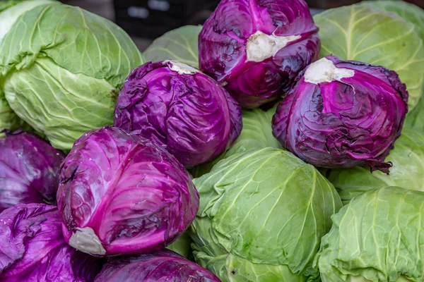 Selection Mixed Cabbages Sale Market Stall — Stock Photo, Image