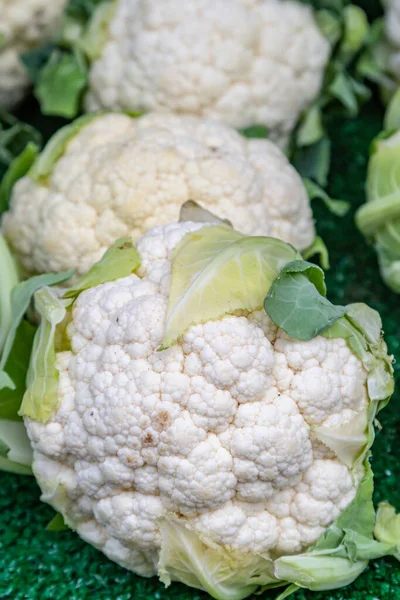 Varias Coliflores Puesto Mercado Aire Libre — Foto de Stock