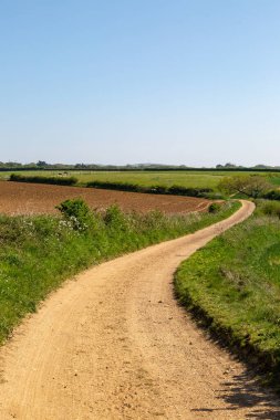 Güneşli bir bahar gününde Wight Adası kırsalında bir patika.