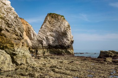 Deniz kızı kayası Wight Adası 'ndaki Tatlı Su Koyu' nda, gelgitte çekildi.