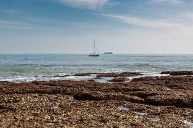 Sular çekildiğinde, Wight Adası 'ndaki Tatlı Su Koyu' nda görünen kayalarla okyanusa bakıyorum.