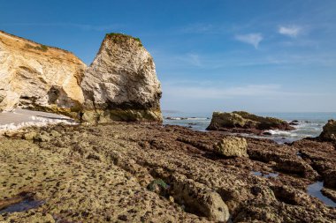 Wight Adası 'ndaki Freshwater Körfezi' ndeki kumsalda kayalıklar ve kaya oluşumları.