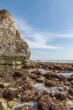 Wight Adası 'ndaki Freshwater Körfezi' ndeki Kaya oluşumları.