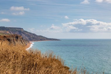 Wight Adası 'ndaki Chine Balinası yakınlarındaki kayalıklardan denize bakıyorum.