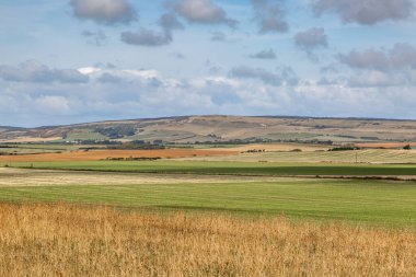Yazın sonlarında Wight Adası 'ndaki Fields and Hills.