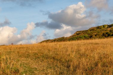 Sabahın erken saatlerinde Wight Adası 'ndaki tarlalar boyunca