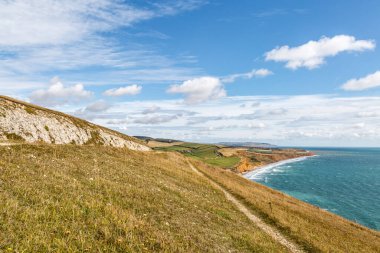 Compton Körfezi 'nin aşağısındaki Wight Adası' nda bir sahil yolu boyunca bakıyorum.