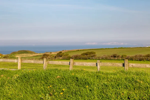 Eine Isle Wight Landschaft Aus Grünen Feldern Mit Der Zerklüfteten — Stockfoto